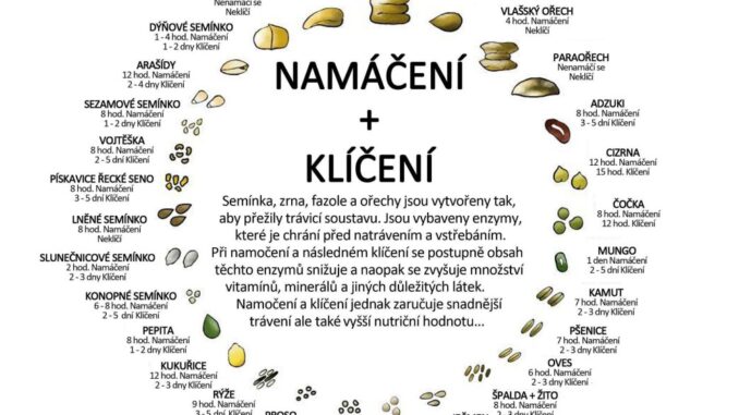 ovesna-kase-naslano-ovesne-vlocky-raw-namaceni-orechu-semen-veganske-recepty (5)