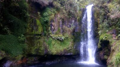 te-puke-kaiate-falls-novy-zeland